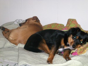 My beautiful picture