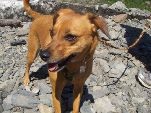 My beautiful picture